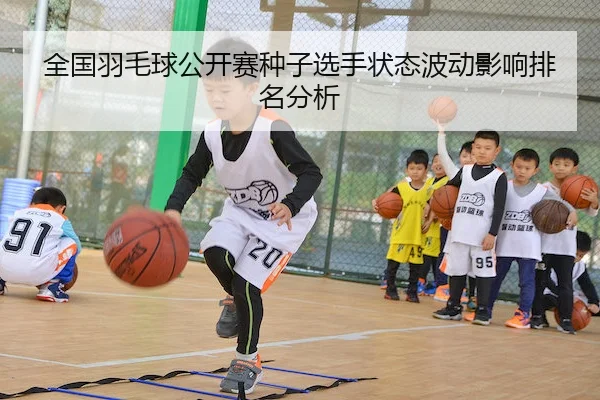 全国羽毛球公开赛种子选手状态波动影响排名分析